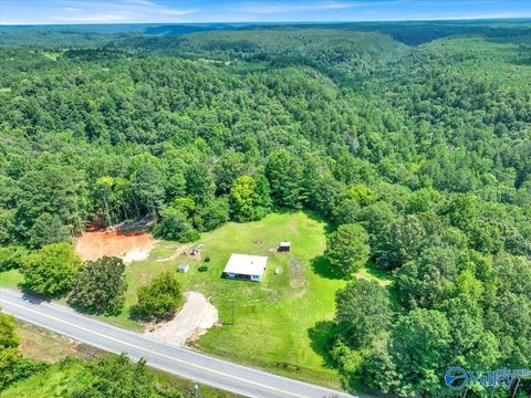 Homes For Sale - 4007 Alabama Highway 91<br/> Cullman County, Bremen, AL 35033