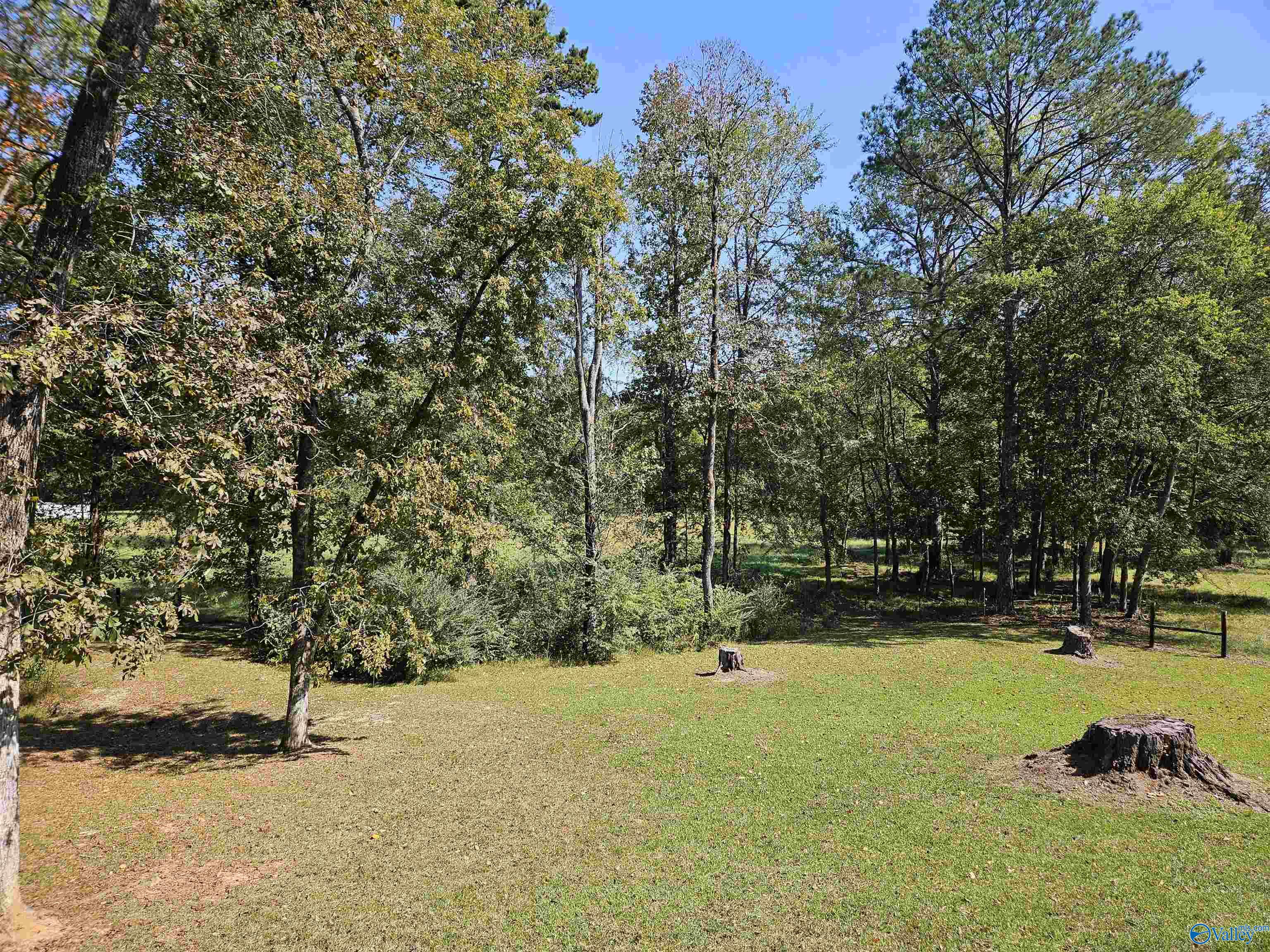 3476 Beason Cove Road, Steele, Alabama image 32