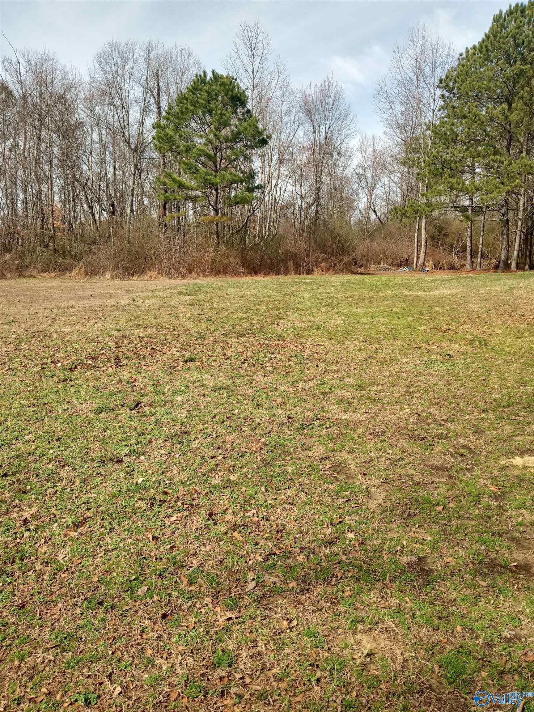 2.6 Acres Union Grove Road, Guntersville, Alabama image 3