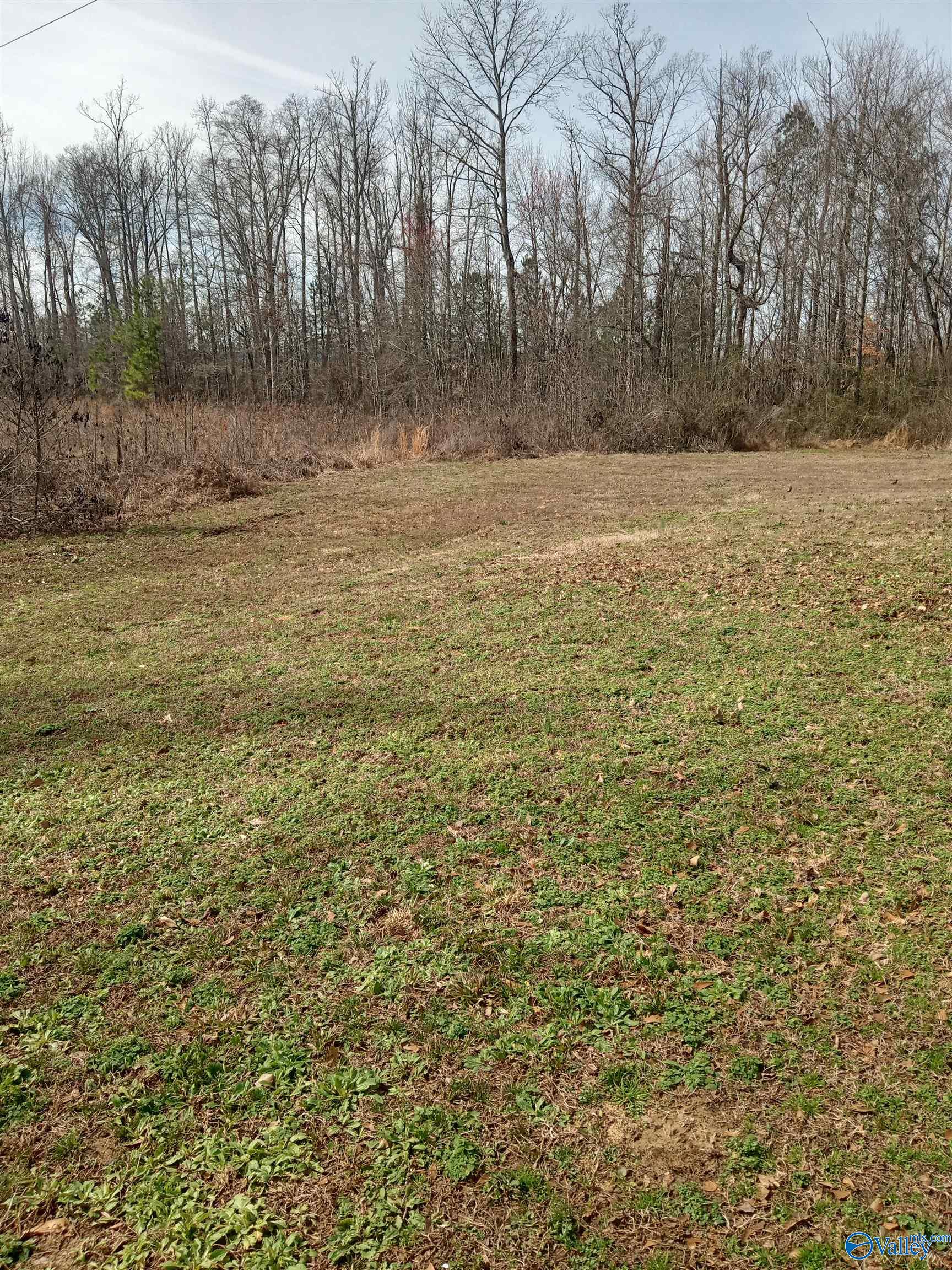 2.6 Acres Union Grove Road, Guntersville, Alabama image 1