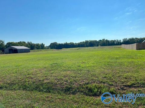 Vacant Land For Sale - 21764 Tillman Mill Road<br/> Elkmont, AL 35620