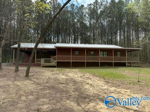Photo of 3341 County Road 107, Fort Payne, AL 35967 (MLS # 21913754)