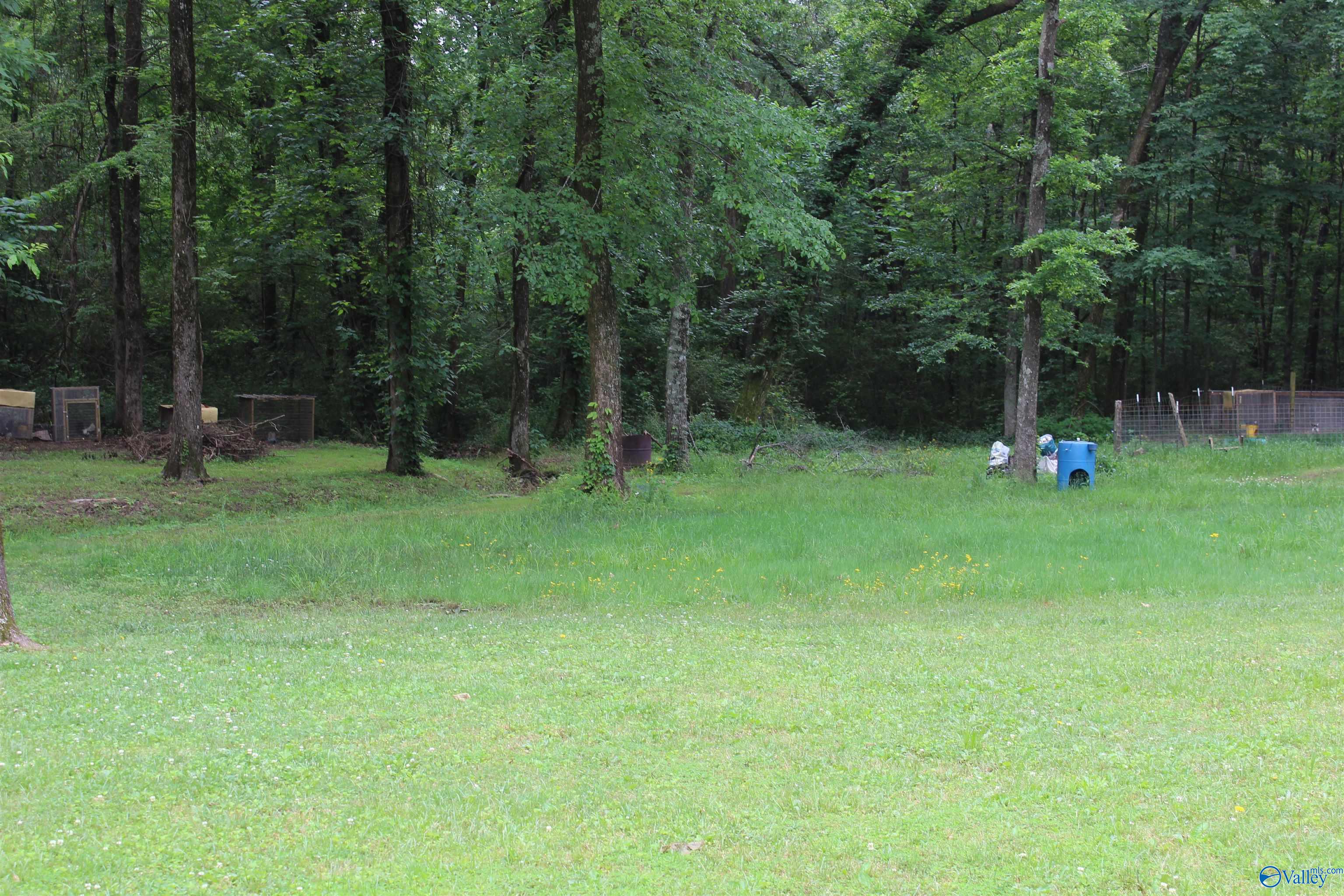 6150 County Road 214, Trinity, Alabama image 16