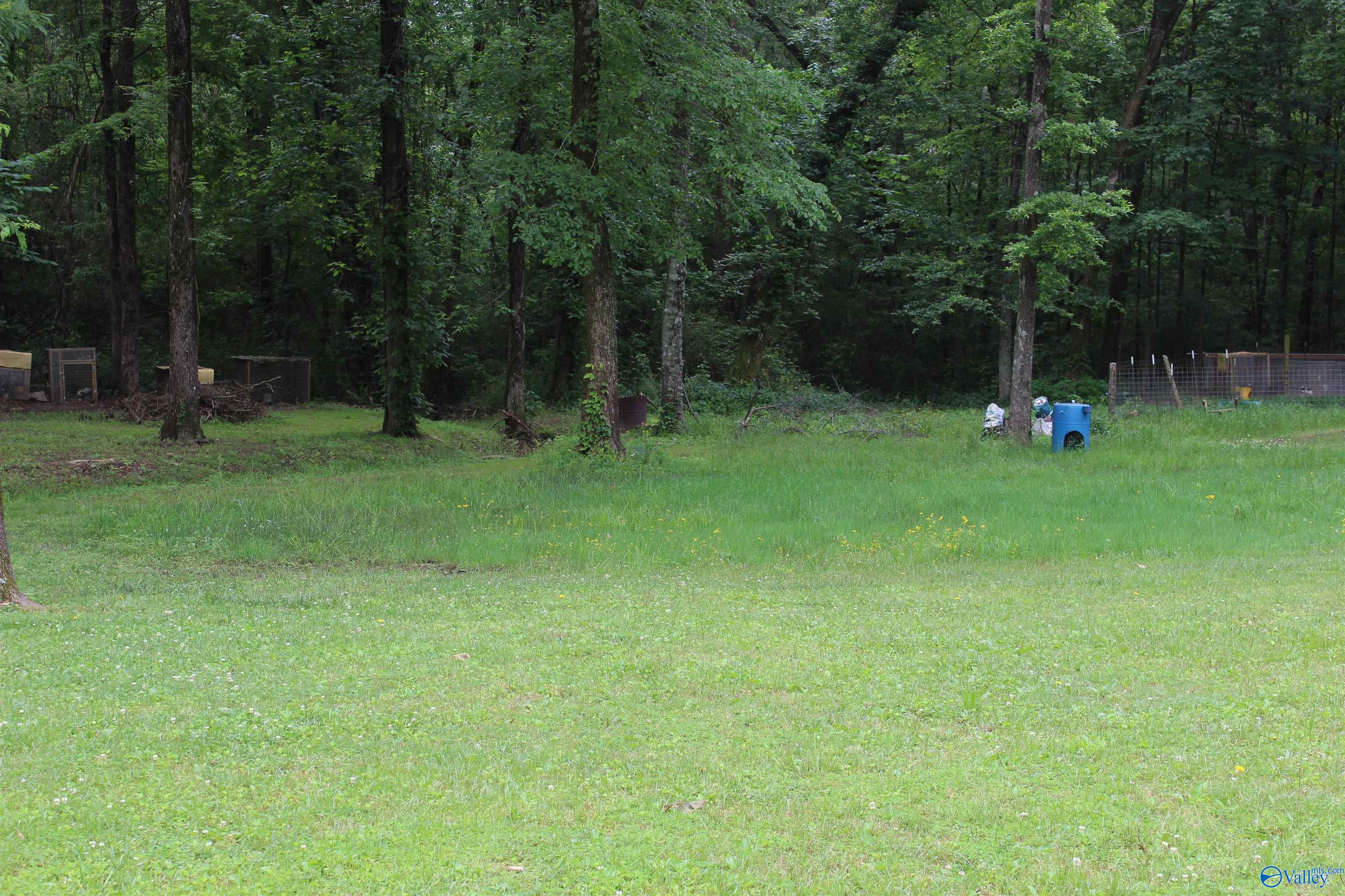 6150 County Road 214, Trinity, Alabama image 17