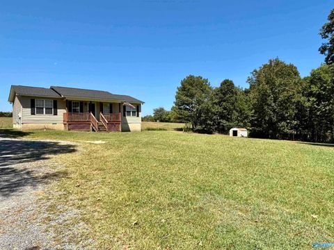 Photo of 6835 County Road 78, Fort Payne, AL 35967 (MLS # 21910723)