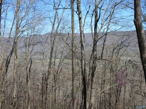 Vacant Land For Sale - 44 Knolton Street<br/> Jackson County, Paint Rock, AL 35764