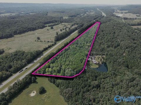 Vacant Land For Sale - 19.68 AC County Road 611<br/> Dekalb County, Valley Head, AL 35989