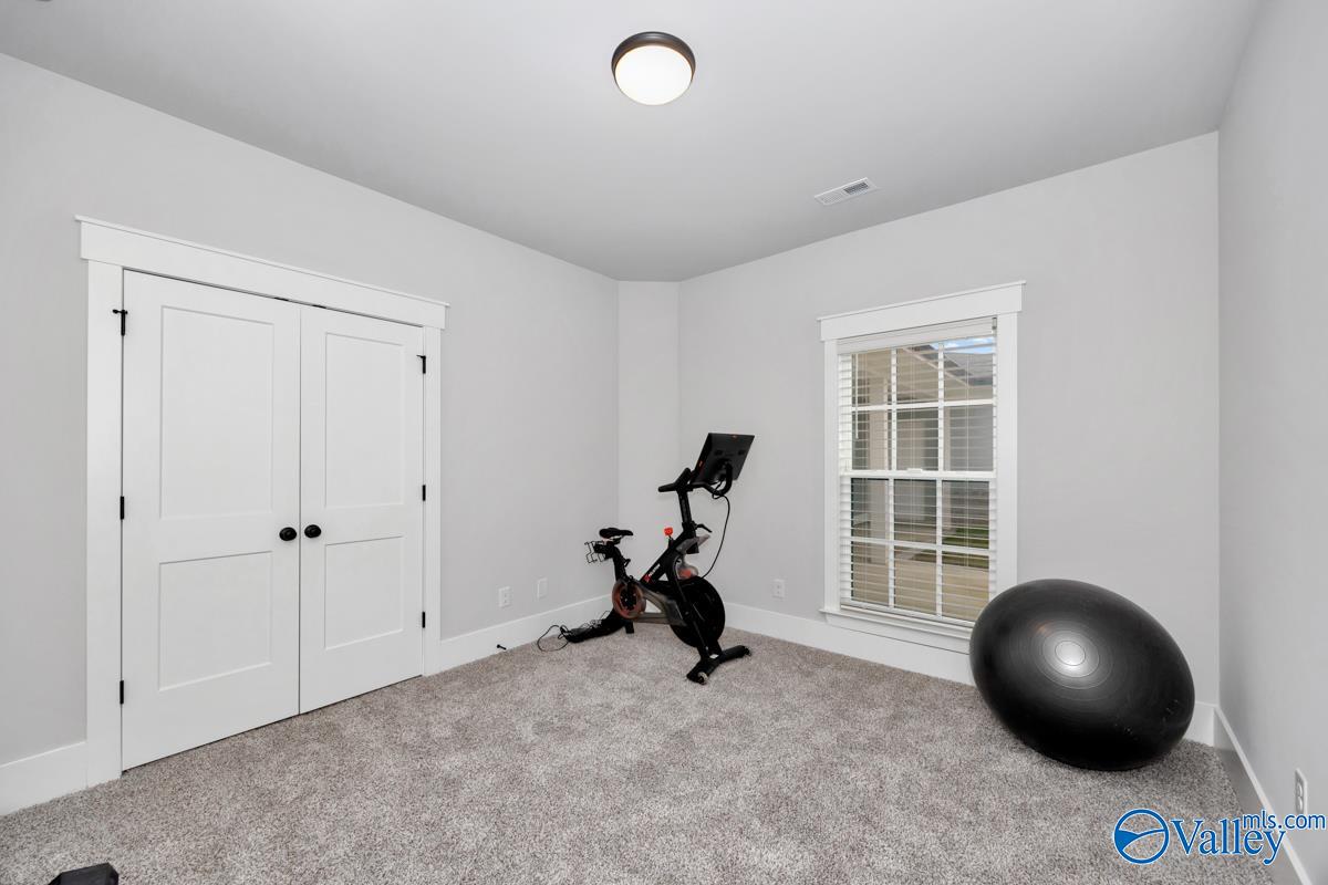 387 Hay Rake Drive, Madison, Alabama image 26