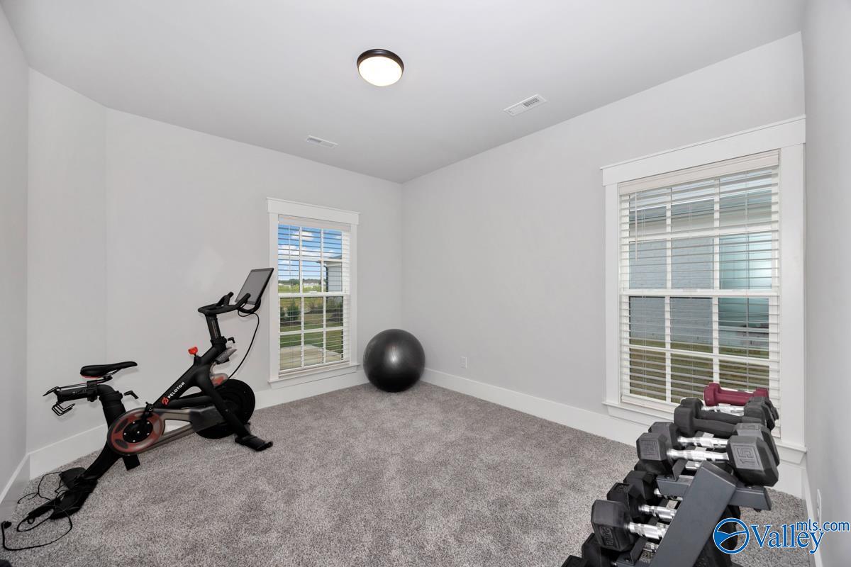 387 Hay Rake Drive, Madison, Alabama image 25