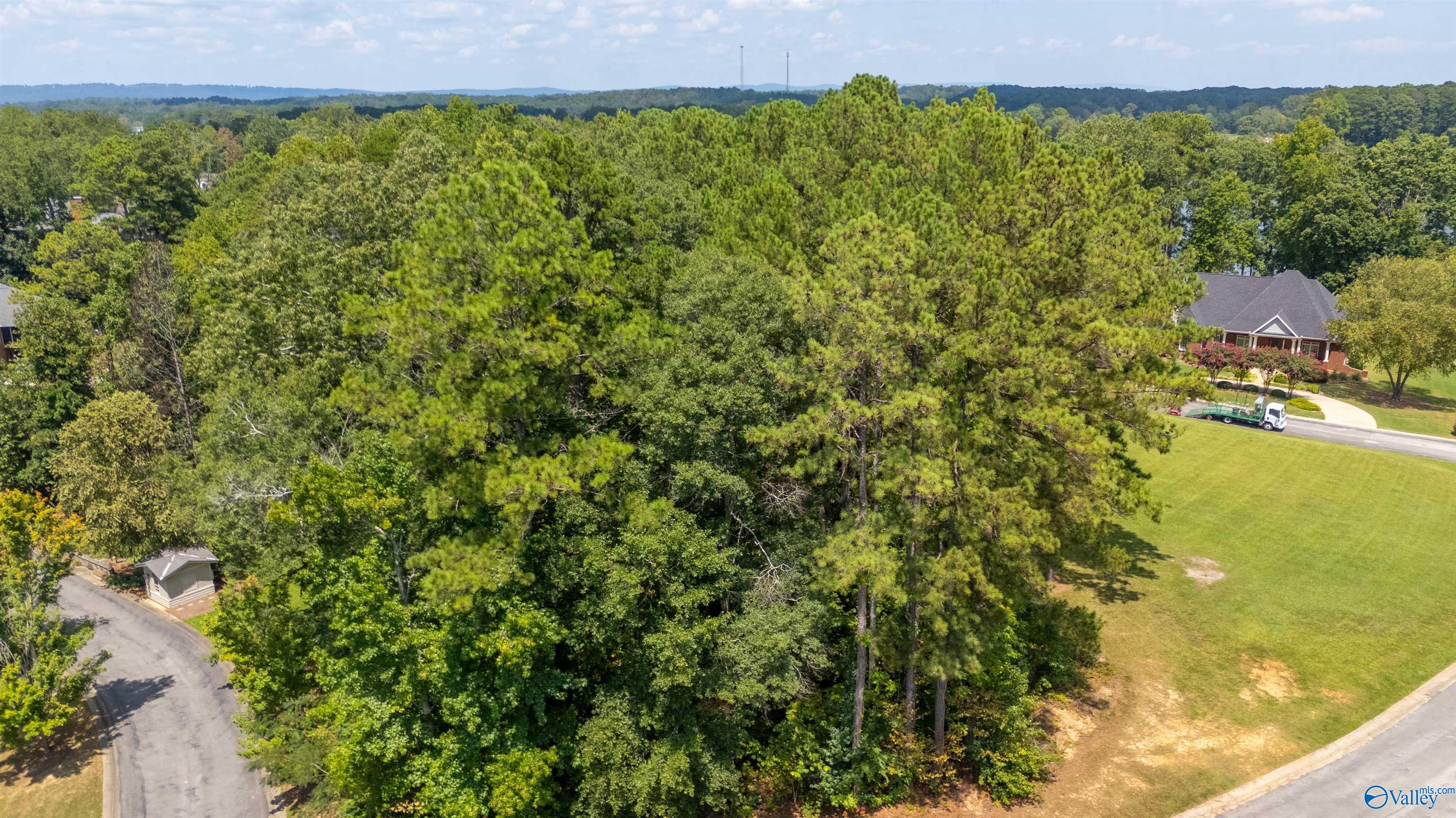 1 Indian Pine Trace, Gadsden, Alabama image 7