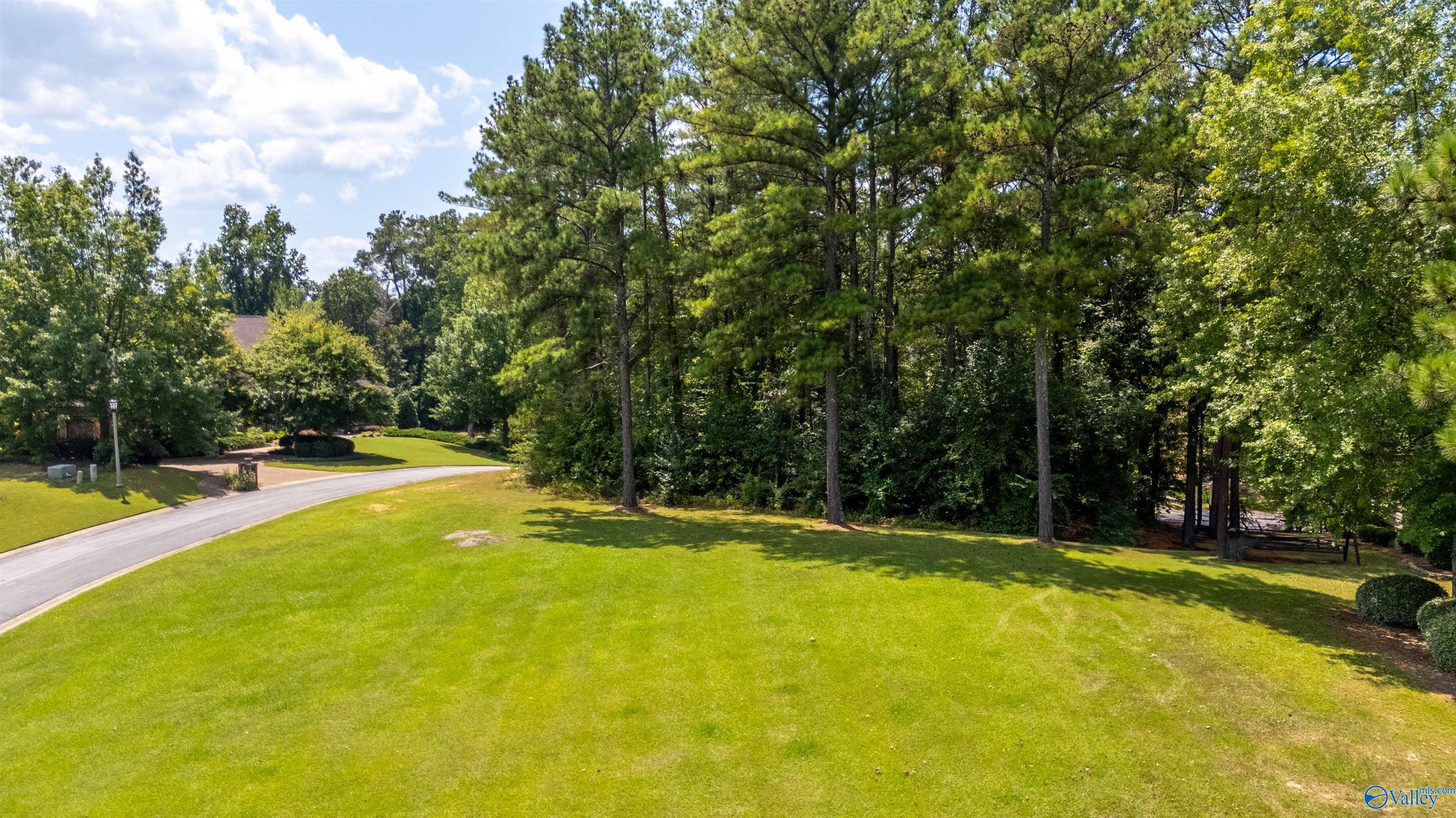 1 Indian Pine Trace, Gadsden, Alabama image 6