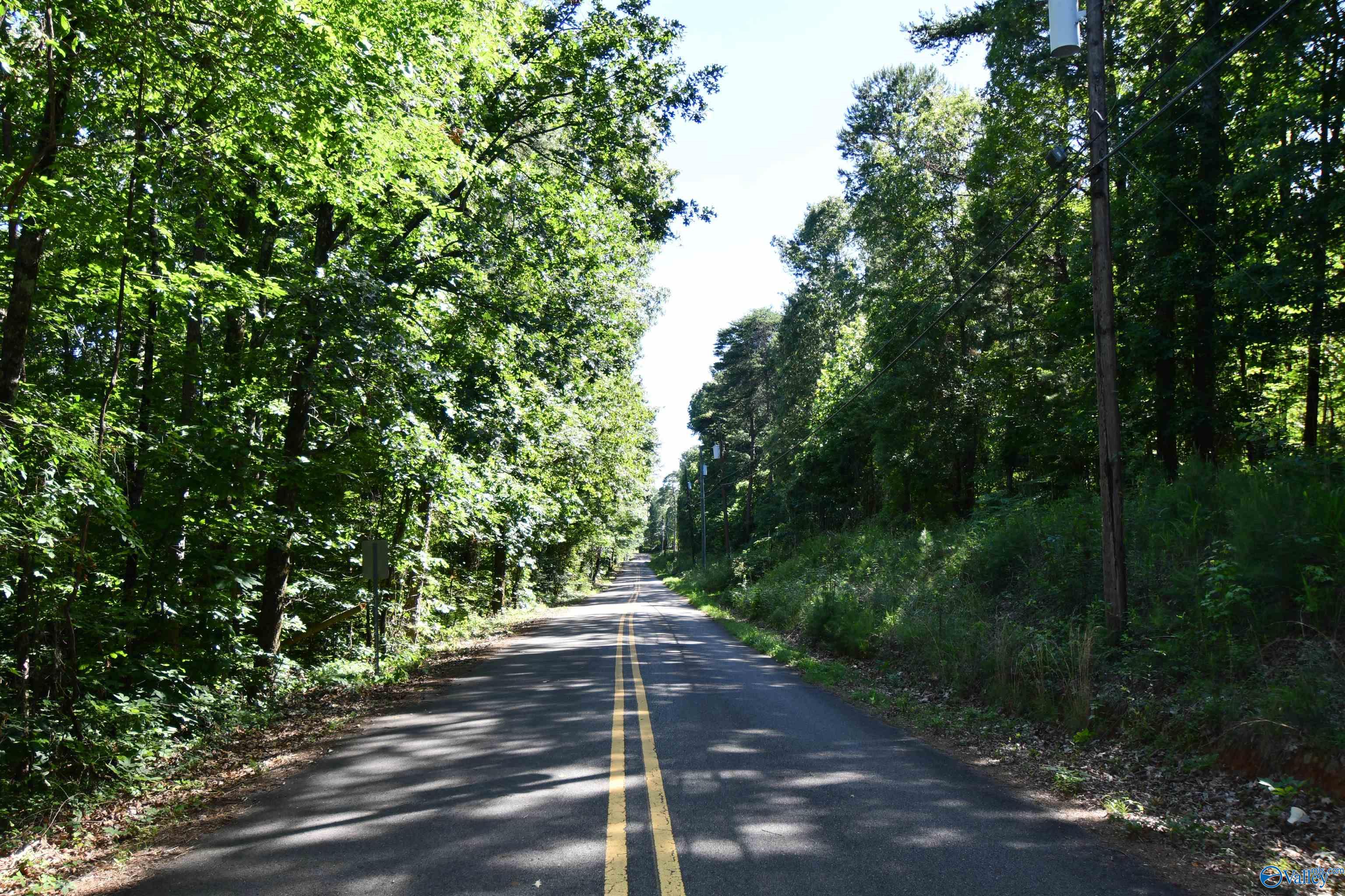 5.86 AC Scenic Highway, Gadsden, Alabama image 4