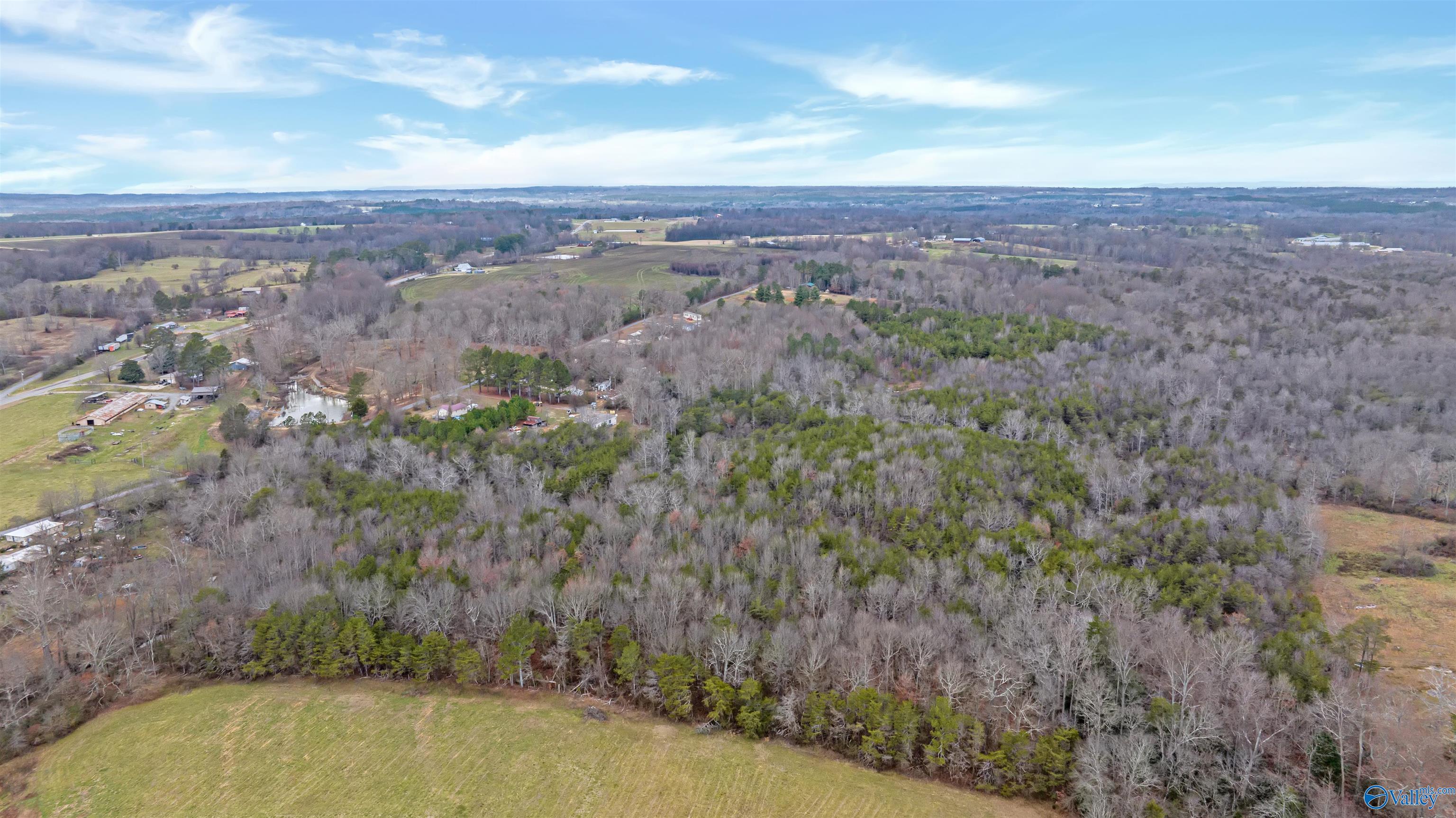 8 Acres County Road 323, Ider, Alabama image 8