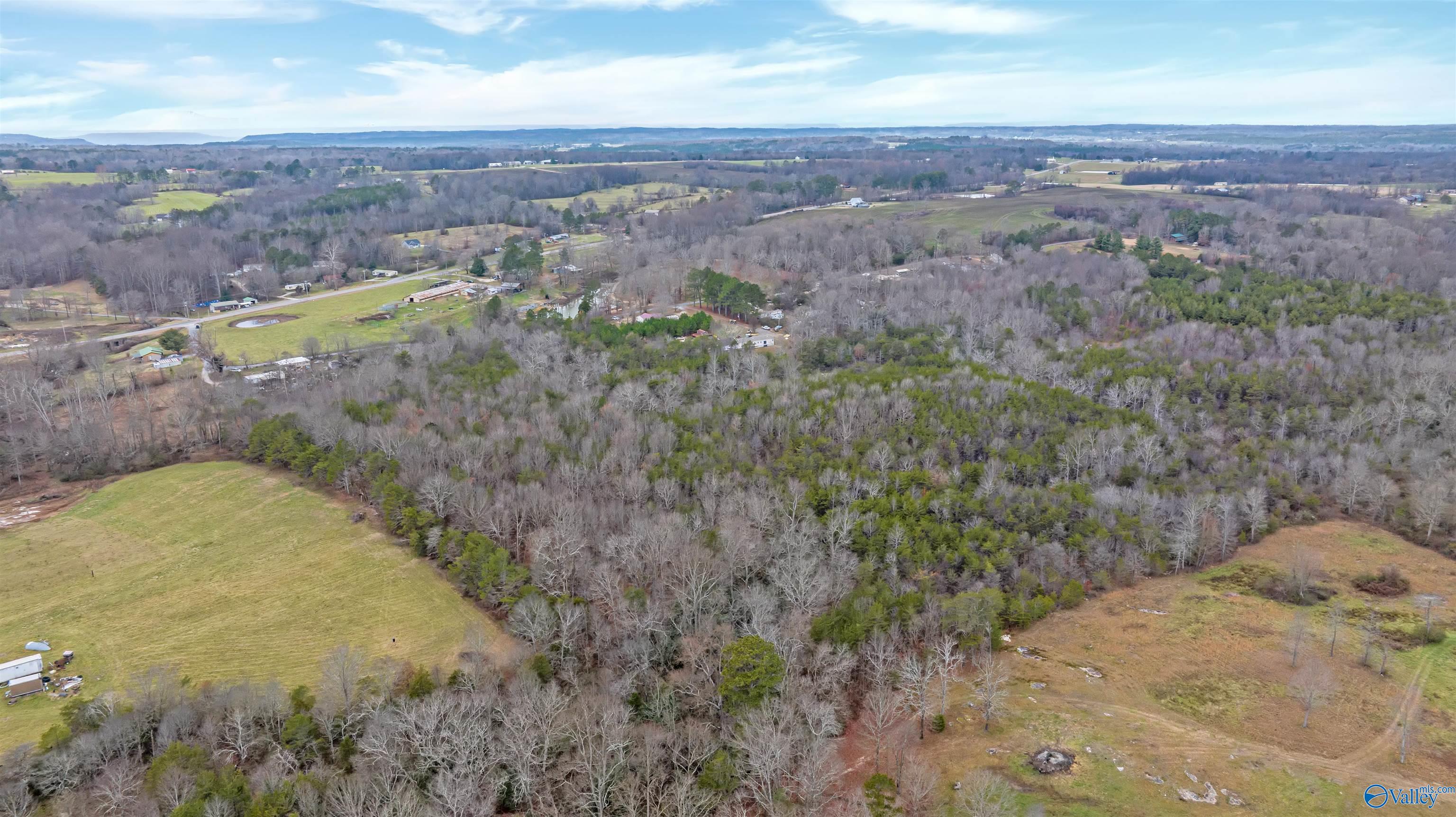 8 Acres County Road 323, Ider, Alabama image 7