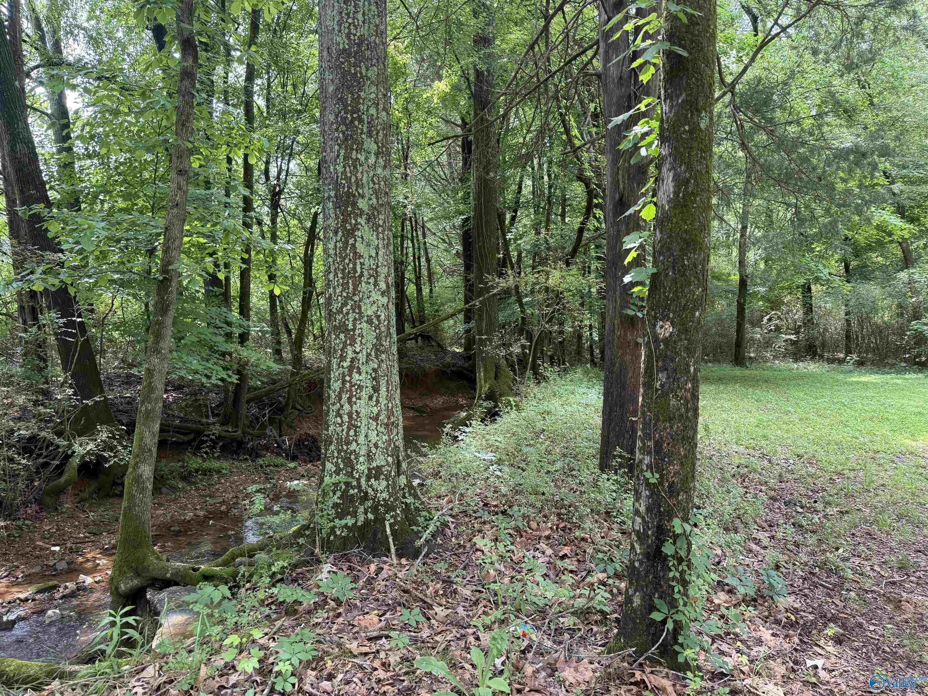 496 Ready Section Road, Hazel Green, Alabama image 7