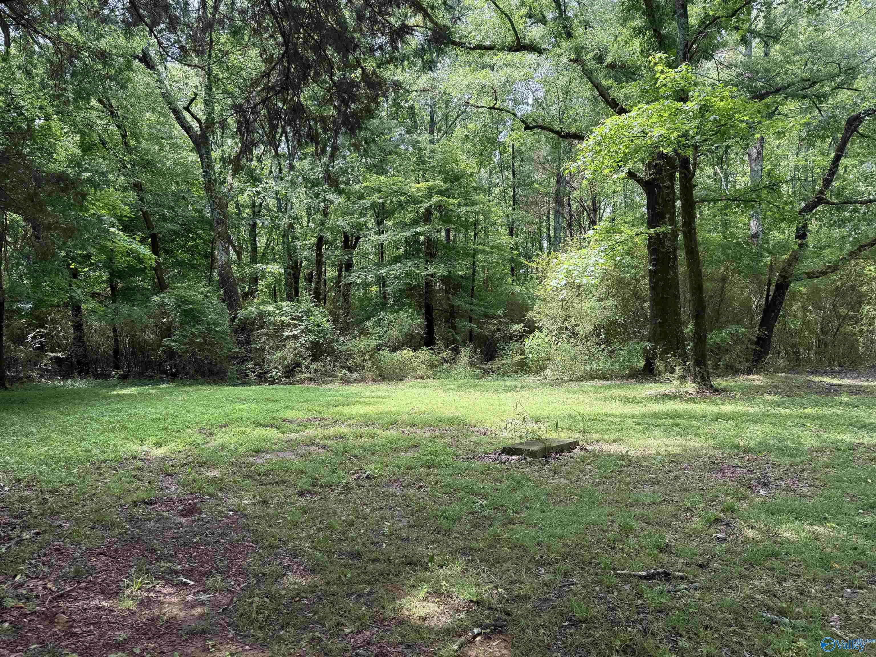 496 Ready Section Road, Hazel Green, Alabama image 6