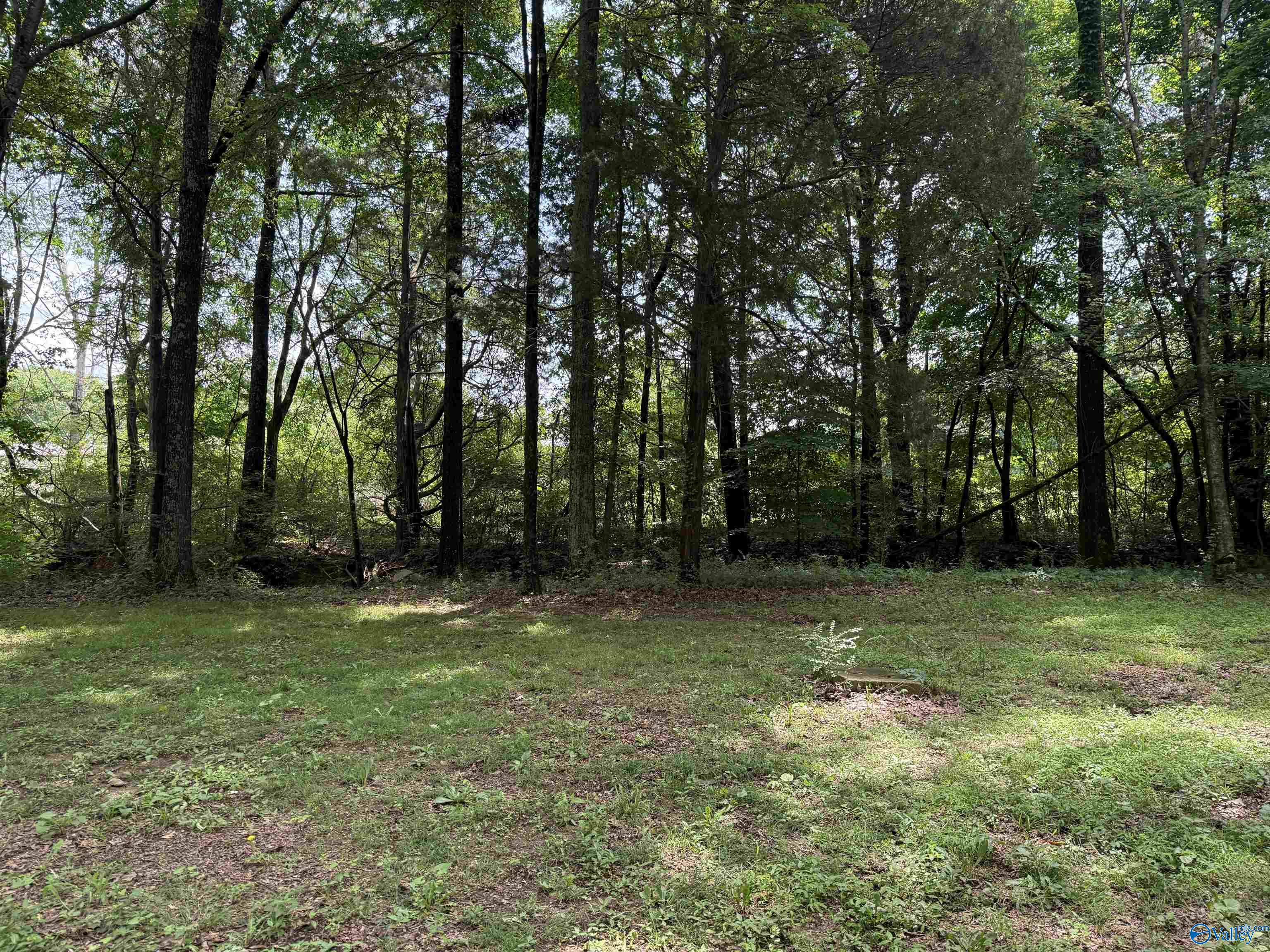 496 Ready Section Road, Hazel Green, Alabama image 9