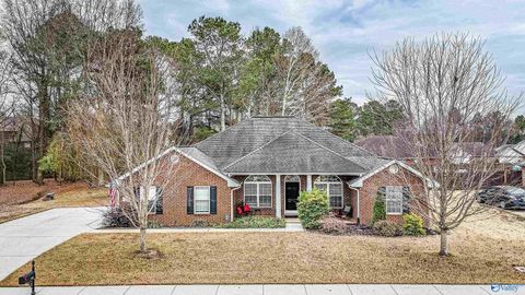 Photo of 108 Alexis Lane, Harvest, AL 35759 (MLS # 21905403)