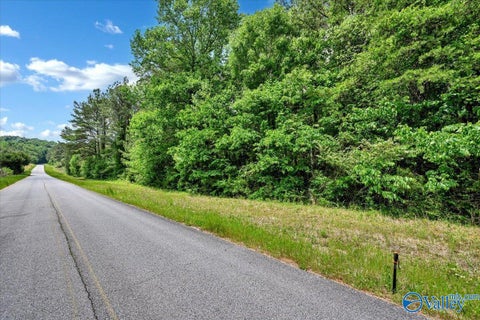 Vacant Land For Sale - LOT 3 Mill Creek Road<br/> Falkville, AL 35622