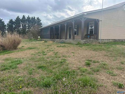 Photo of 293 Mark Whitt Road, Boaz, AL 35956 (MLS # 21911948)