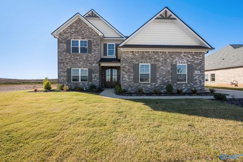 Photo of 152 Brier View Drive, Meridianville, AL 35759 (MLS # 21911309)