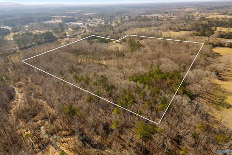 Homes For Sale - 140 Monroe Street<br/> Somerville, AL 35670