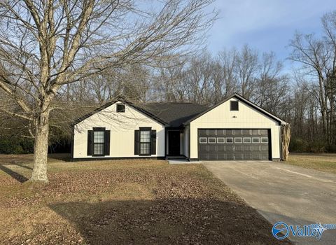 Photo of 205 Nina Pearl Drive, Huntsville, AL 35811 (MLS # 21905392)