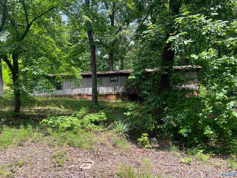 Vacant Land For Sale - 1790 Forest Green Road<br/> Southside, AL 35907