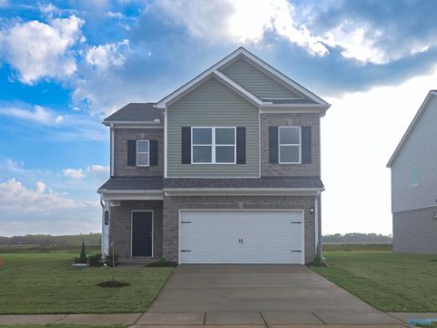 Homes For Sale - 176 Mill Valley Way<br/> New Market, AL 35761