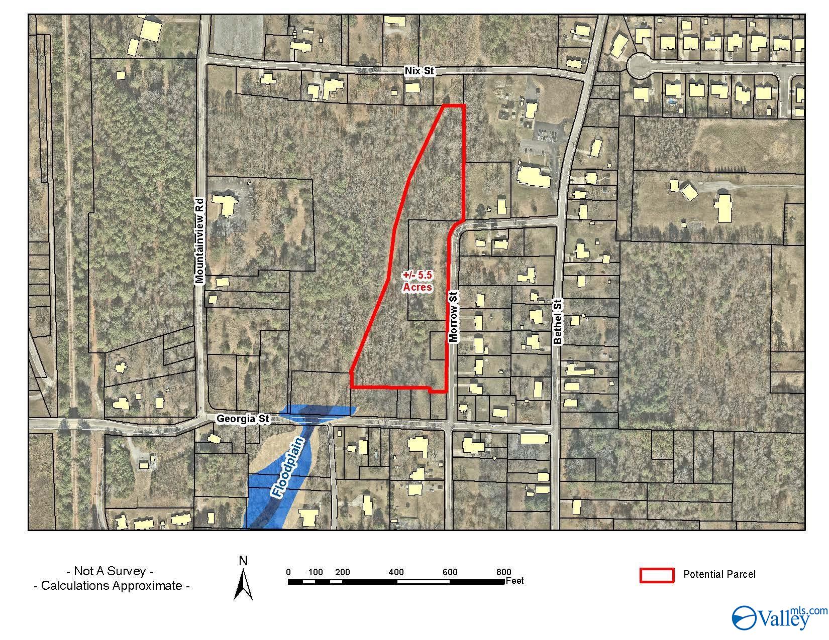 5.50 +/- Acres Morrow Street, Hartselle, Alabama image 1