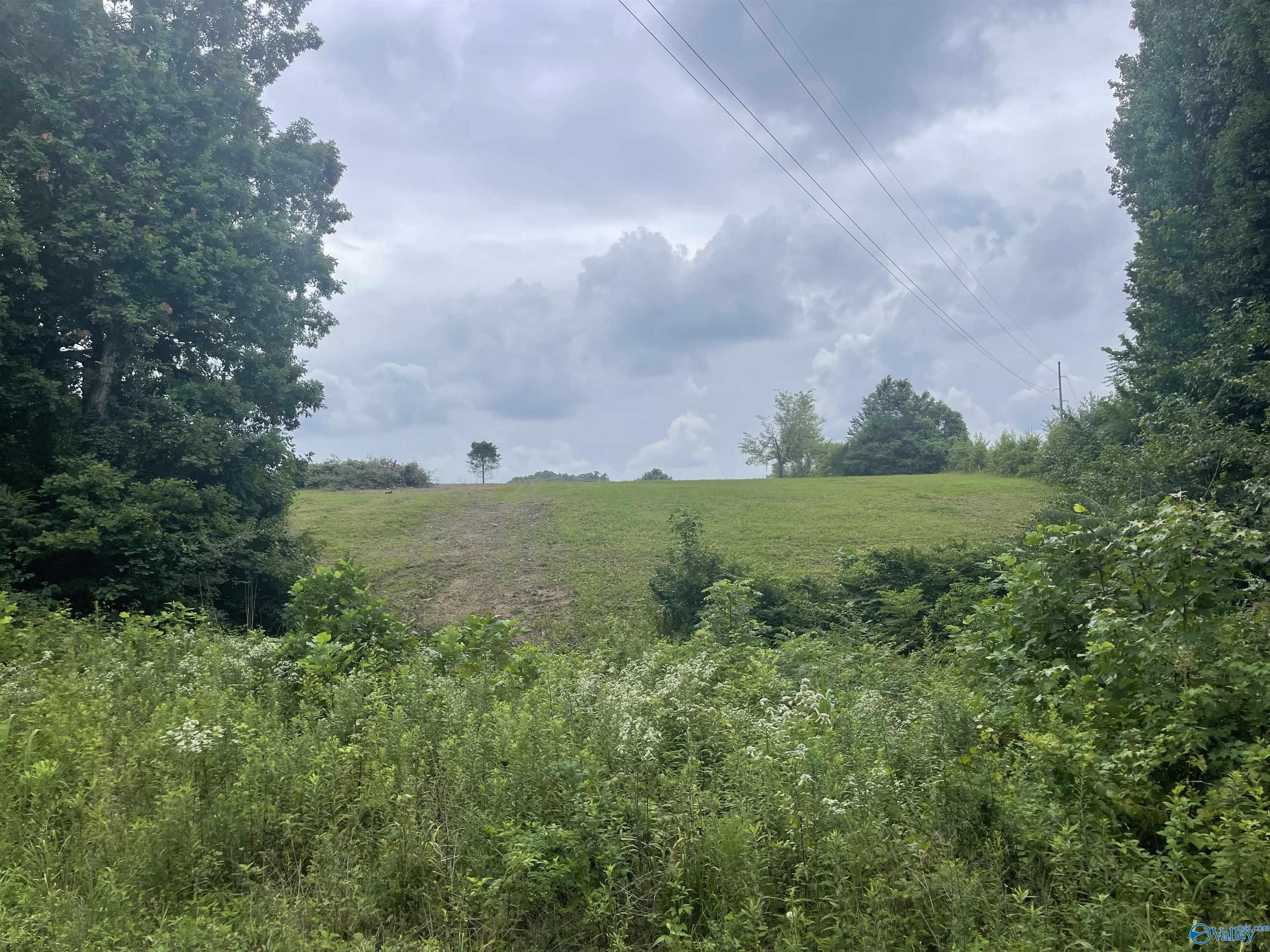 11778 Glass Hollow Road, Athens, Alabama image 2