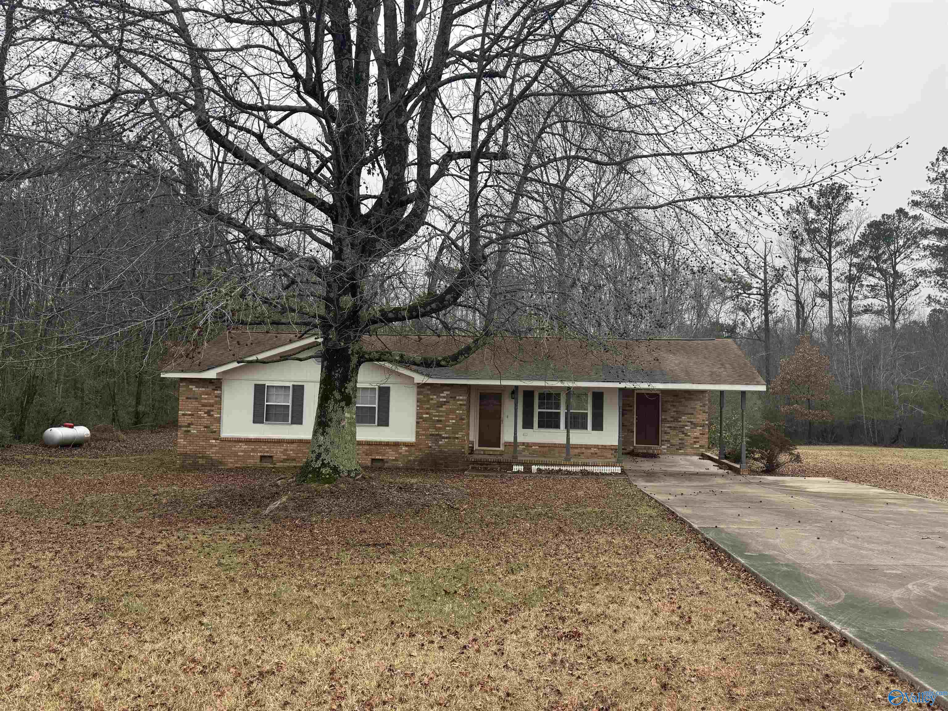 111 Malcom Avenue, Rainsville, Alabama image 1