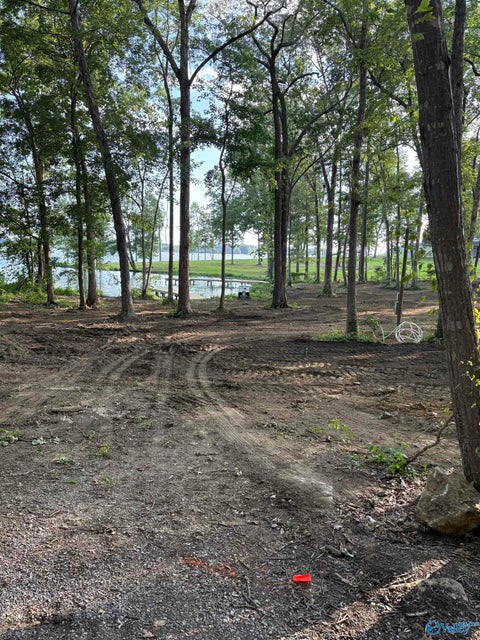 Vacant Land For Sale - 14B County Road 671<br/> Cherokee County, Cedar Bluff, AL 35959