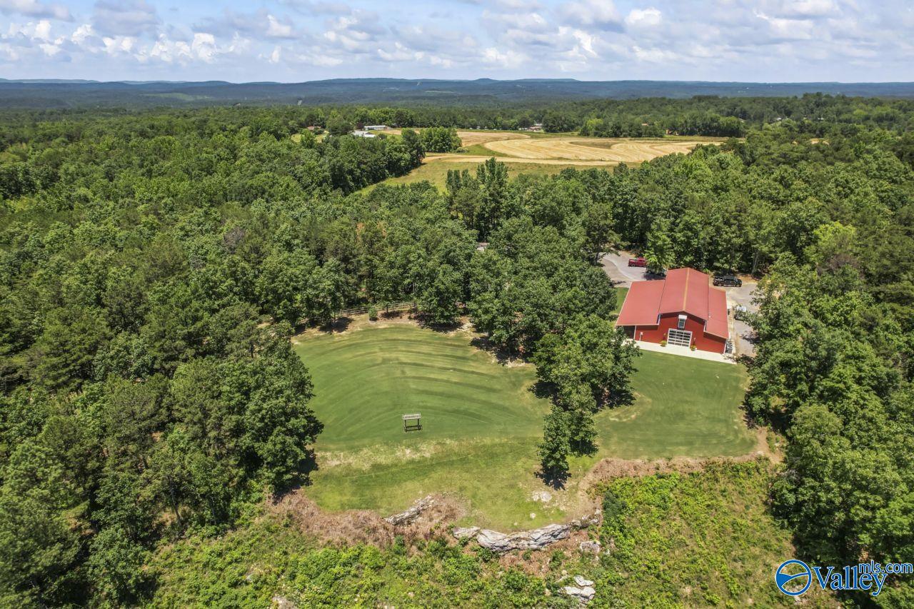8879 County Road 27, Springville, Alabama image 4