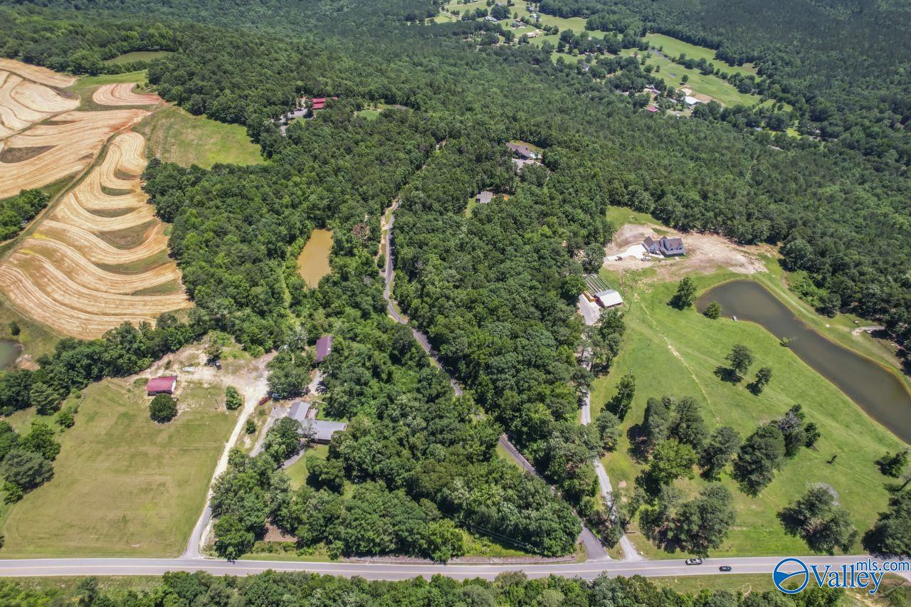 8879 County Road 27, Springville, Alabama image 18
