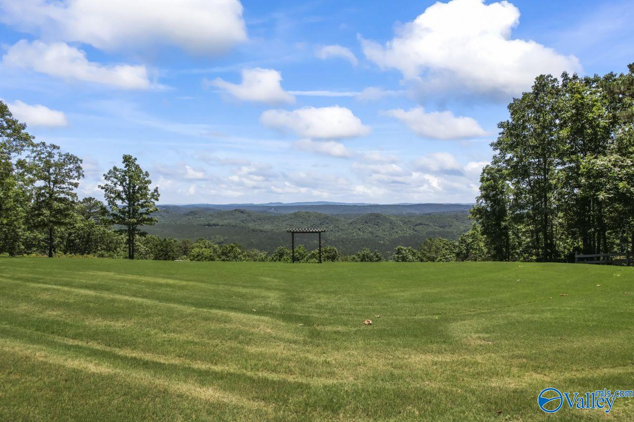 8879 County Road 27, Springville, Alabama image 7