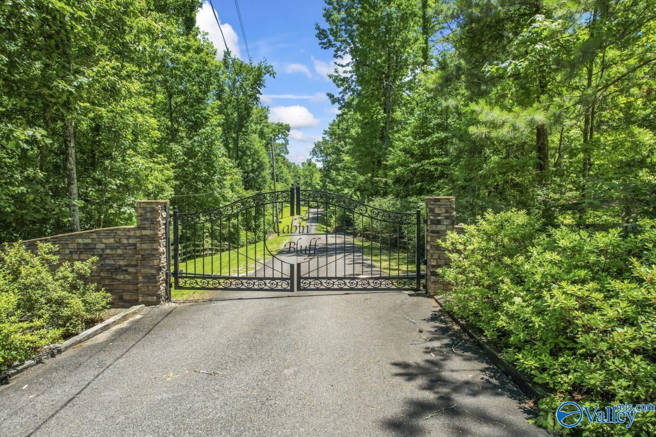 8879 County Road 27, Springville, Alabama image 2