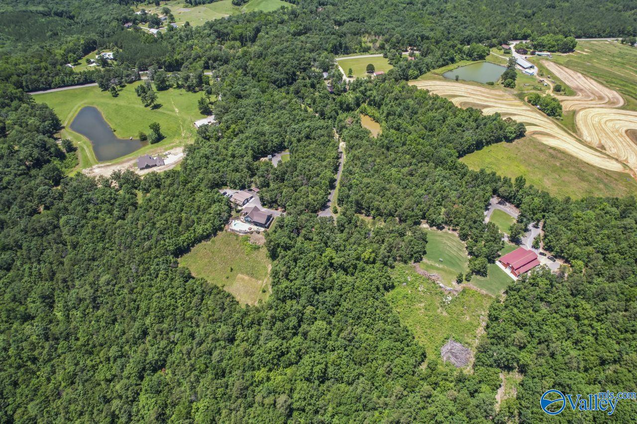 8879 County Road 27, Springville, Alabama image 21