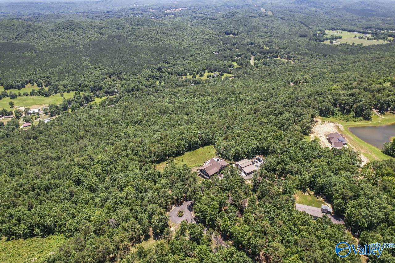 8879 County Road 27, Springville, Alabama image 10
