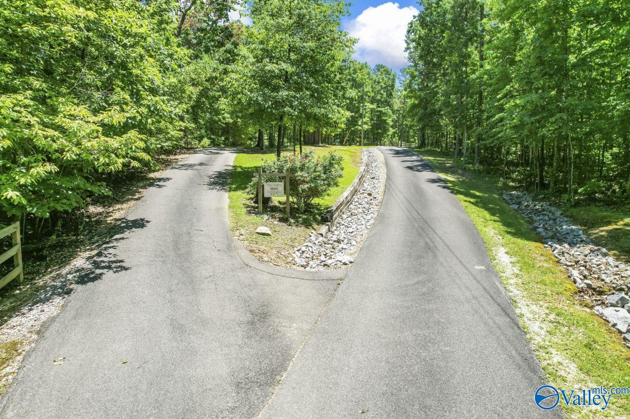 8879 County Road 27, Springville, Alabama image 3