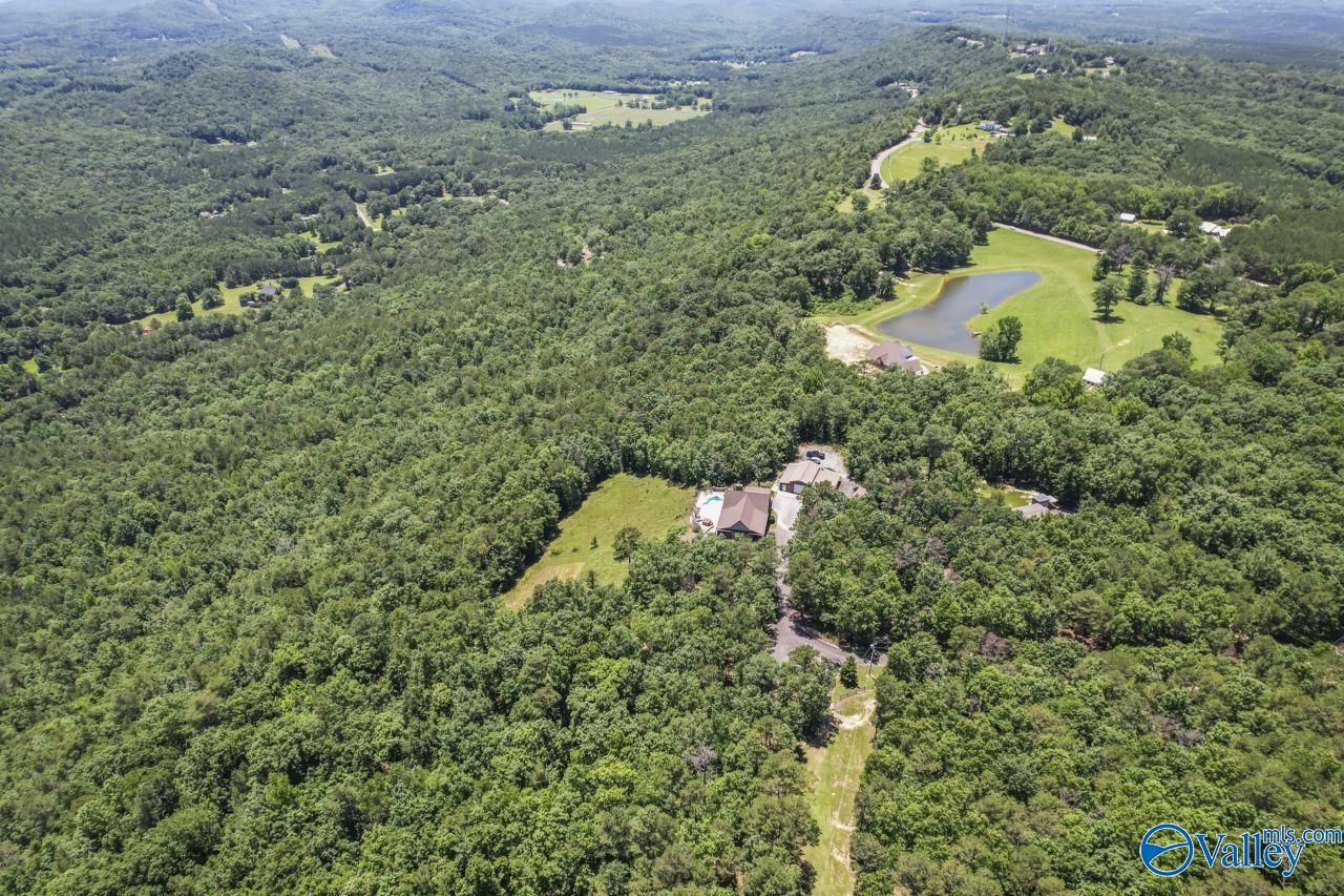 8879 County Road 27, Springville, Alabama image 9
