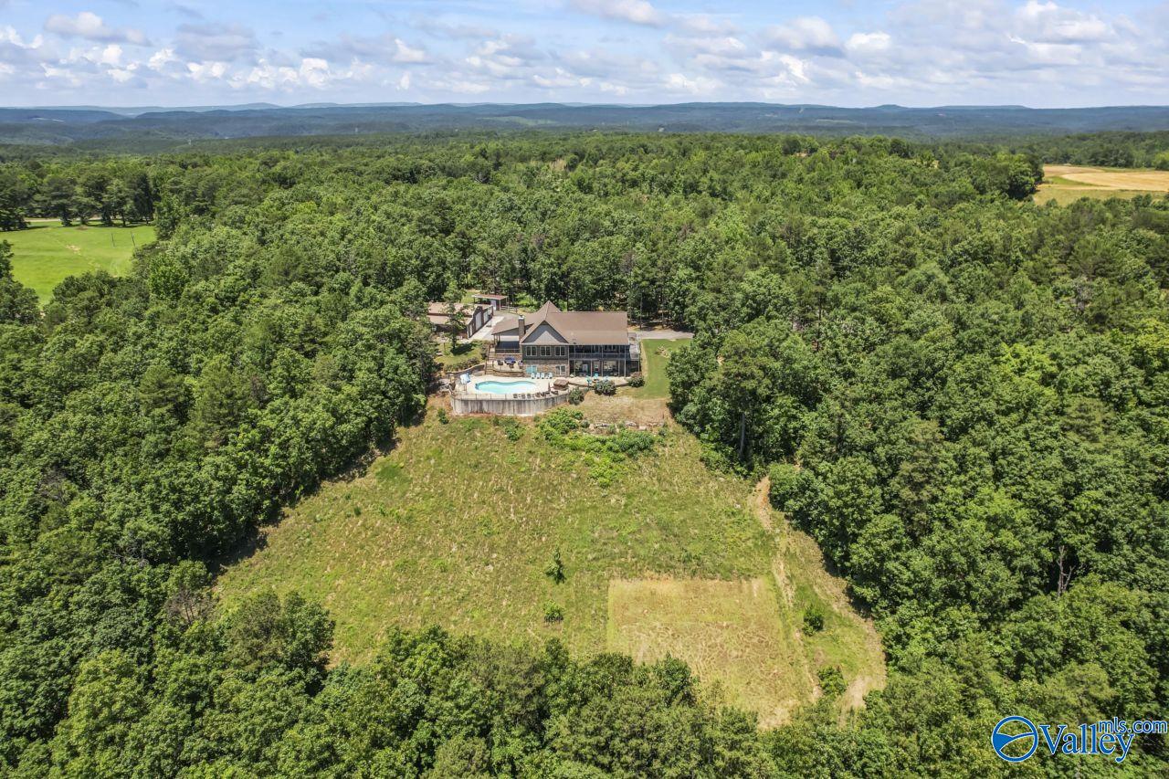 8879 County Road 27, Springville, Alabama image 5
