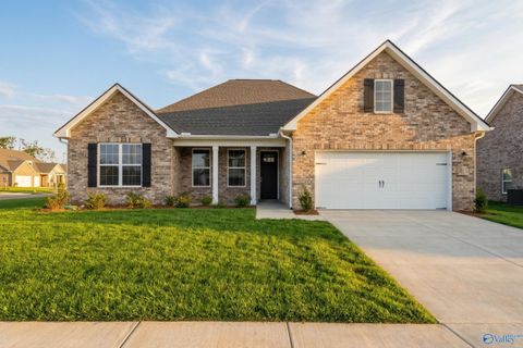 Homes For Sale - 100 Lucy Lynn Boulevard<br/> Madison County, Meridianville, AL 35759