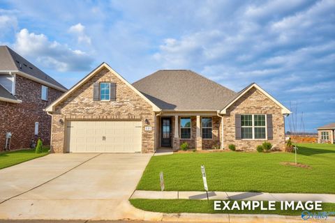 100 Lucy Lynn Boulevard Meridianville AL 35759