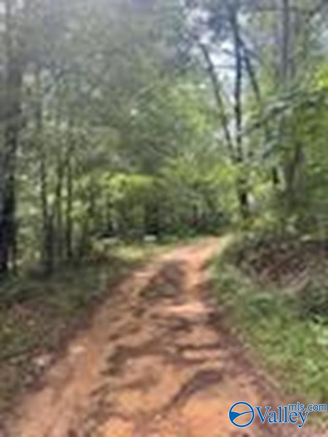1 Ac County Road 427, Fort Payne, Alabama image 2