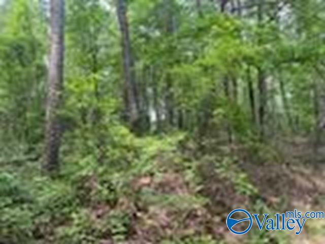 1 Ac County Road 427, Fort Payne, Alabama image 1