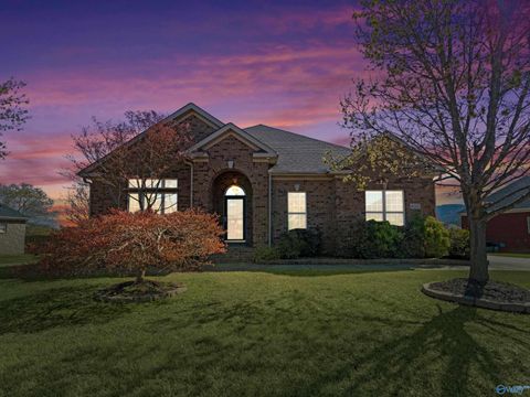 Photo of 4502 Stone Park Circle, Owens Cross Roads, AL 35763 (MLS # 21912586)