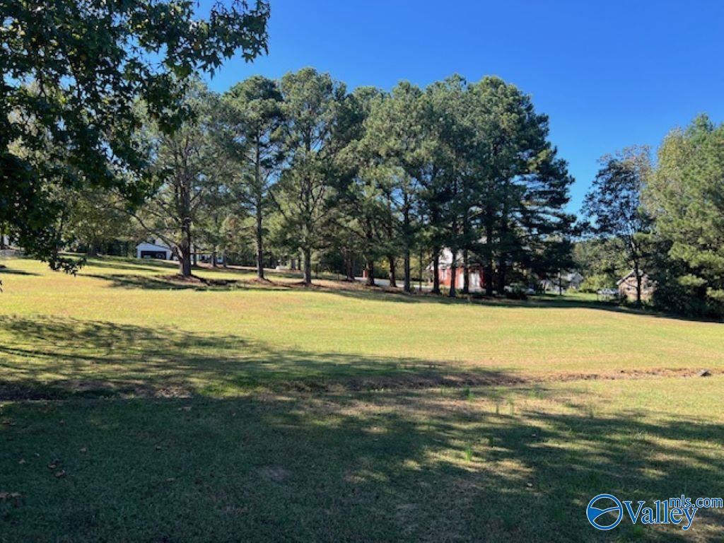 1523 Childers Road, Eva, Alabama image 25