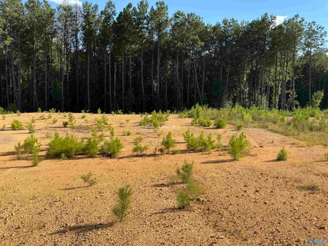 Vacant Land For Sale - 1581 Mckesie Street<br/> Saint Clair County, Riverside, AL 35135