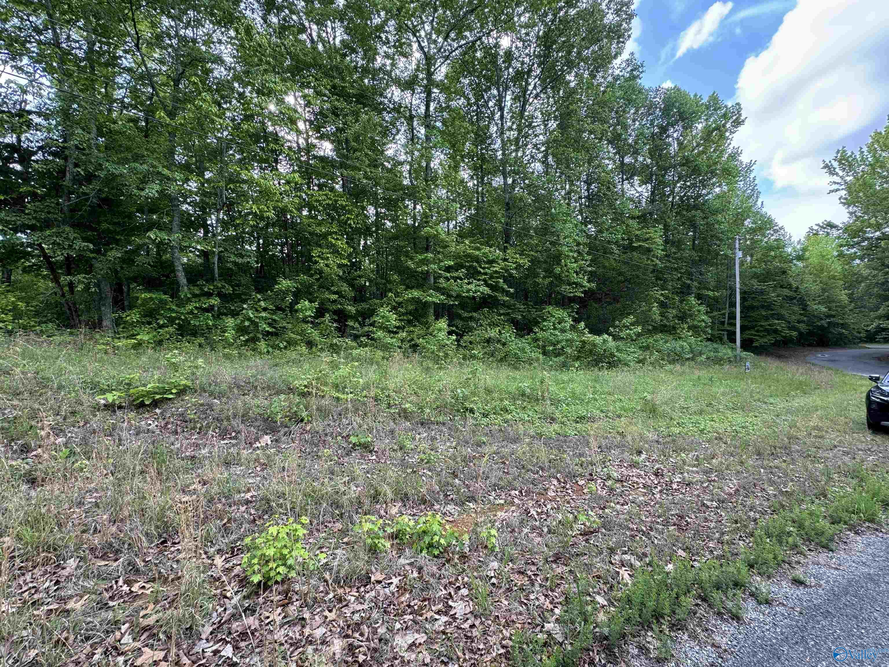 1.4 Acres Woodfern Drive, Scottsboro, Alabama image 2